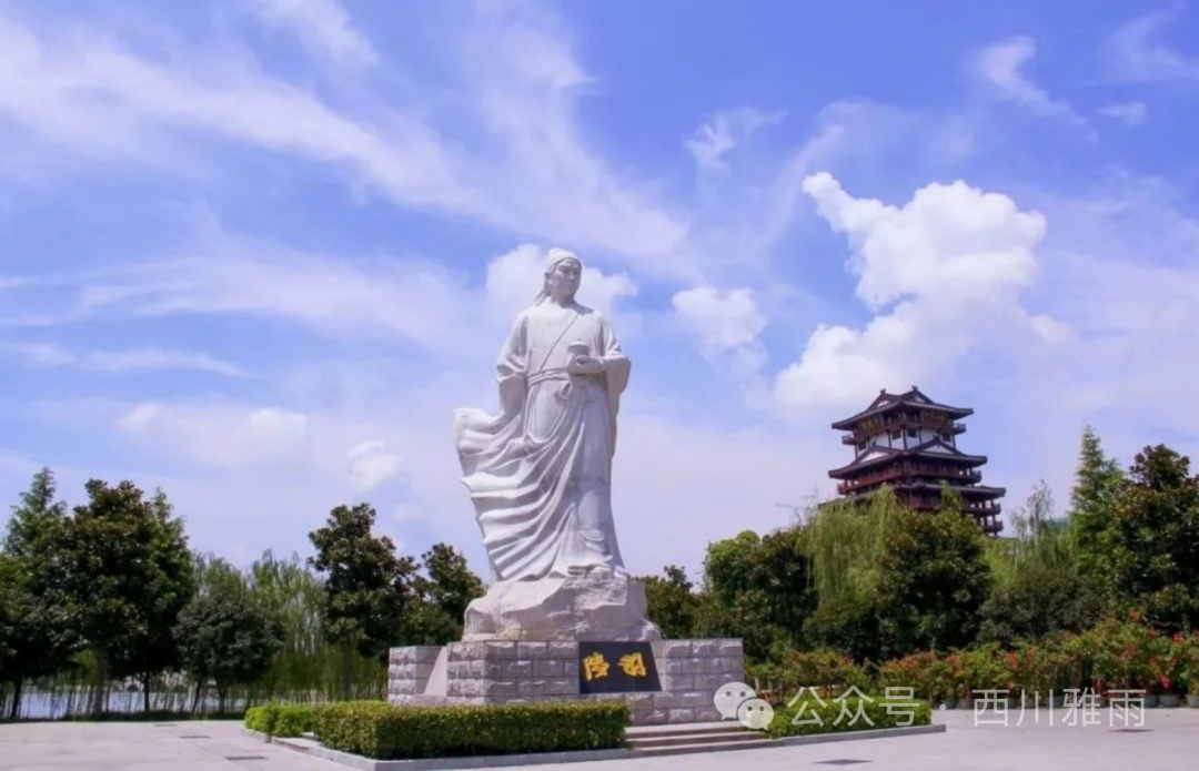 紫阳富硒茶银针价格(紫阳银针是绿茶吗)-硒宝网