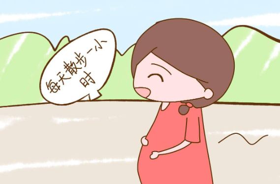 孕期补钙食物（孕期补钙食品）-硒宝网