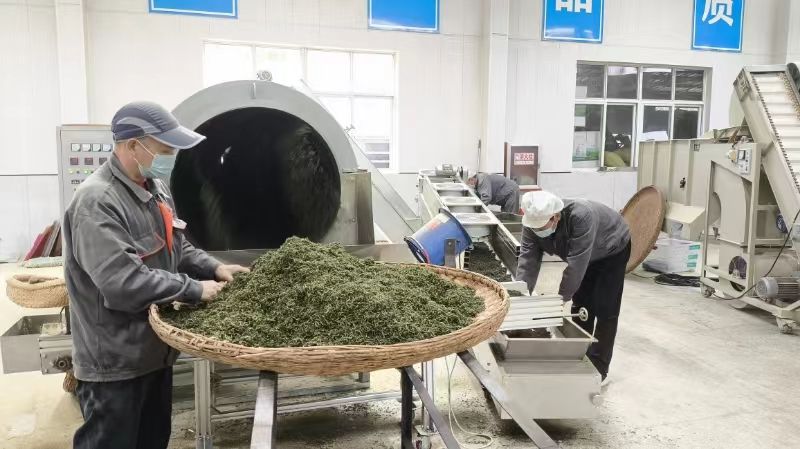 陕西茶叶富硒茶企业（陕南富硒茶叶）-硒宝网