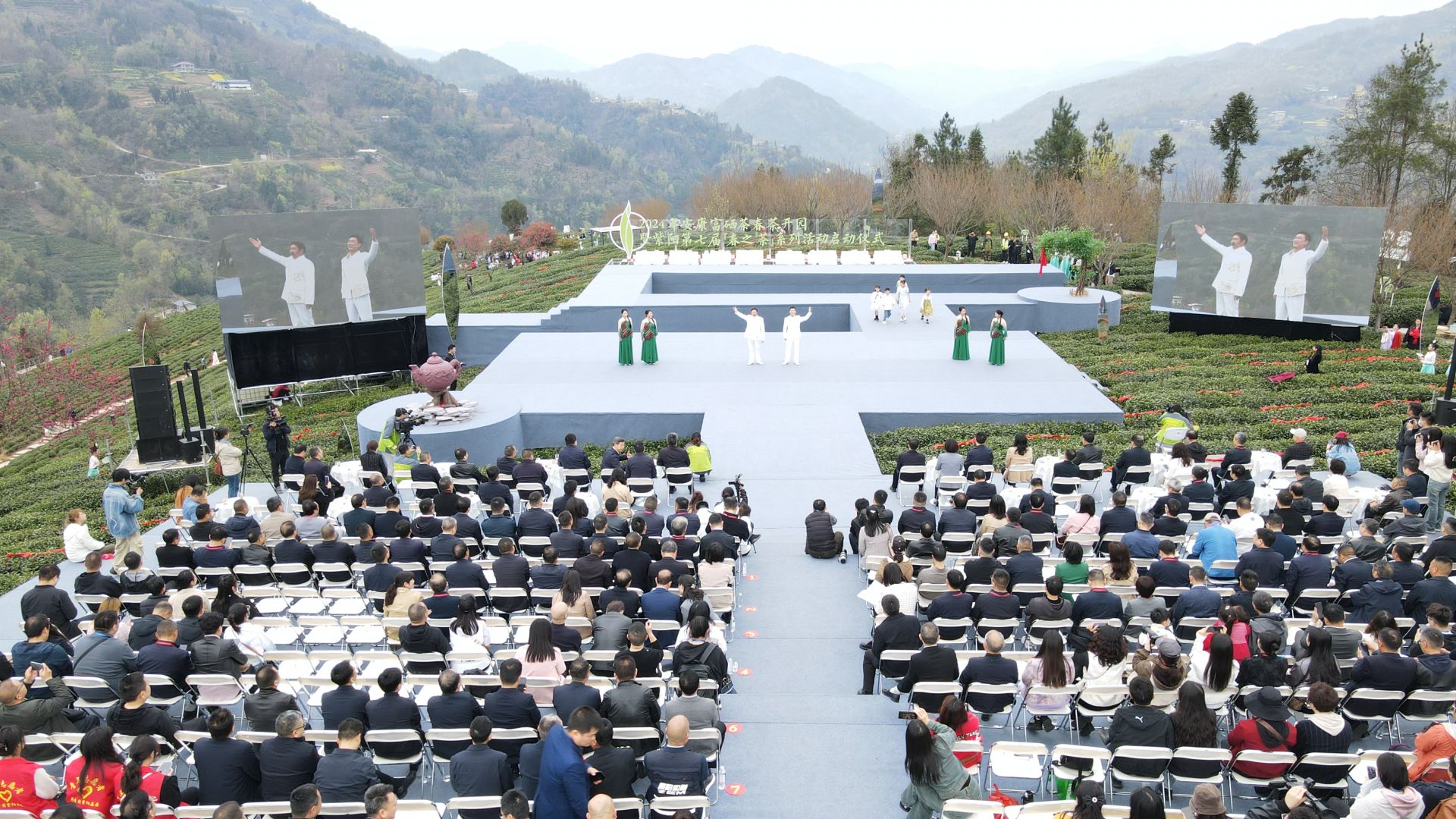 陕西茶叶富硒茶企业（陕南富硒茶叶）-硒宝网