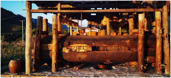 永州富硒有机茶项目(硒州茶行)-硒宝网