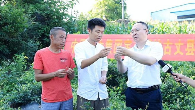 永州富硒有机茶项目(硒州茶行)-硒宝网