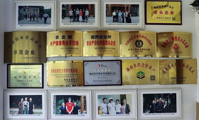 永州富硒有机茶项目(硒州茶行)-硒宝网