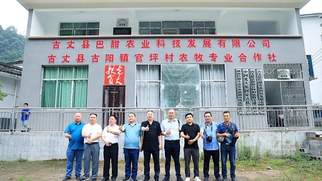 永州富硒有机茶项目(硒州茶行)-硒宝网