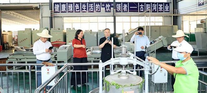 永州富硒有机茶项目(硒州茶行)-硒宝网