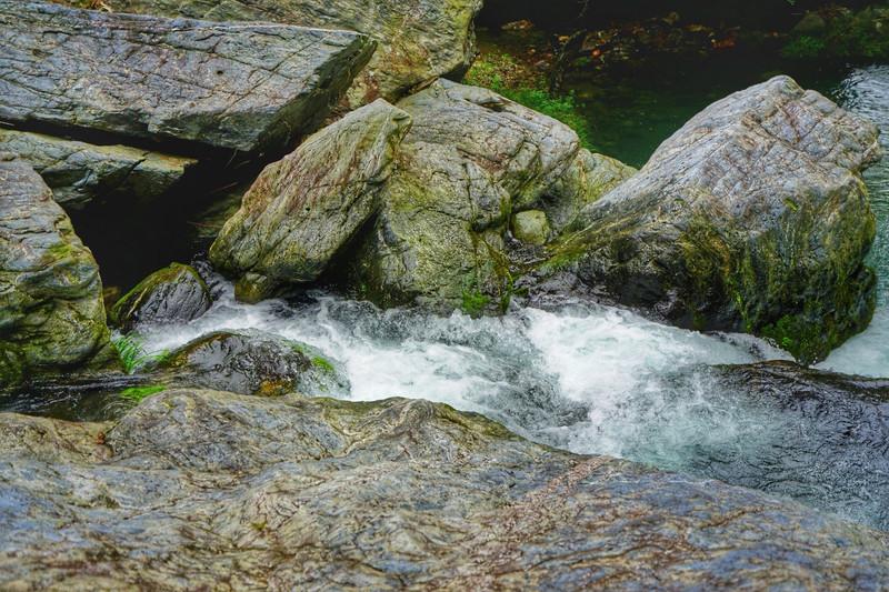 石台天方富硒茶公司(石台天方富硒村)-硒宝网