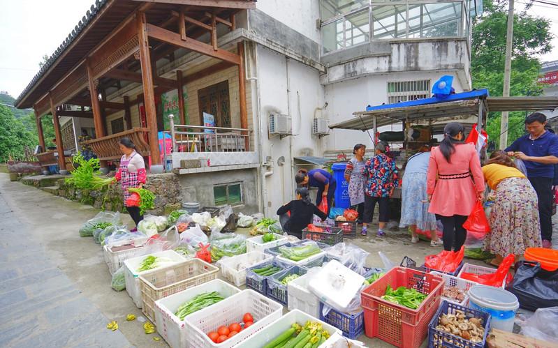 石台天方富硒茶公司(石台天方富硒村)-硒宝网