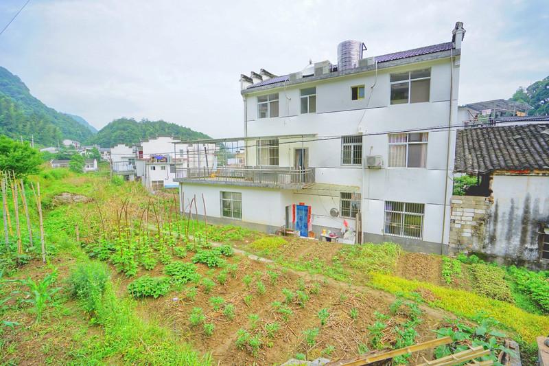 石台天方富硒茶公司(石台天方富硒村)-硒宝网