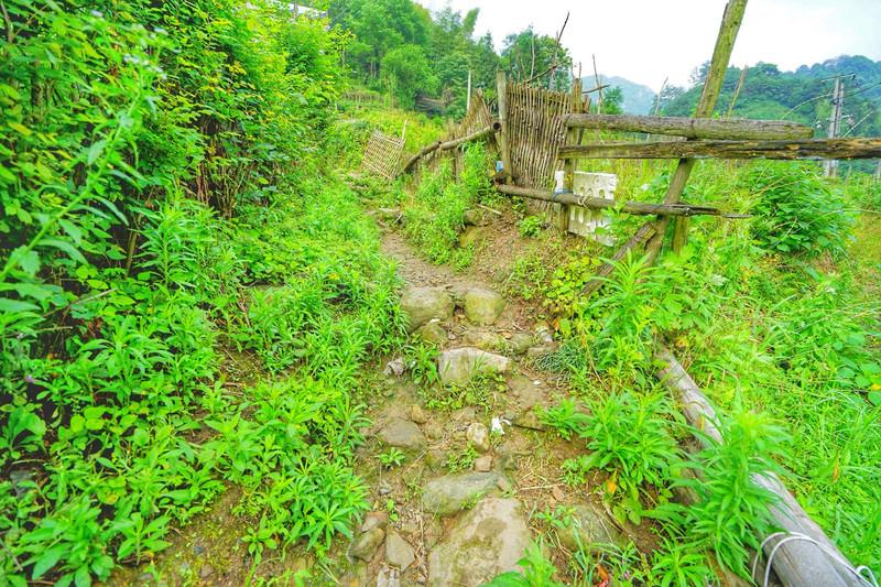 石台天方富硒茶公司(石台天方富硒村)-硒宝网