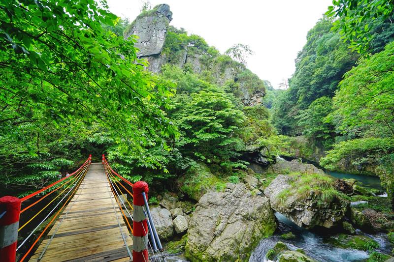 石台天方富硒茶公司(石台天方富硒村)-硒宝网