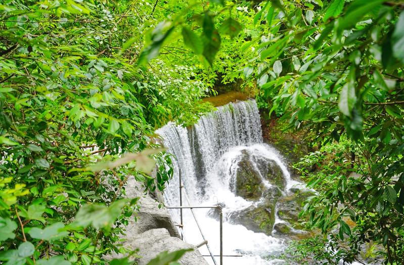 石台天方富硒茶公司(石台天方富硒村)-硒宝网