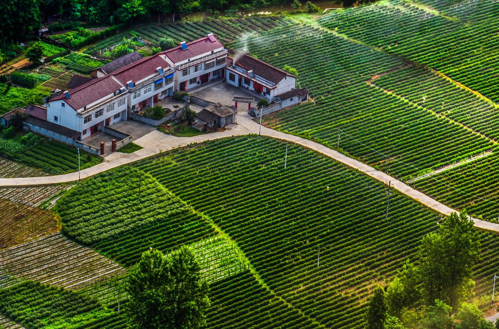 石台天方富硒茶公司（石台富硒茶的功效与作用）-硒宝网