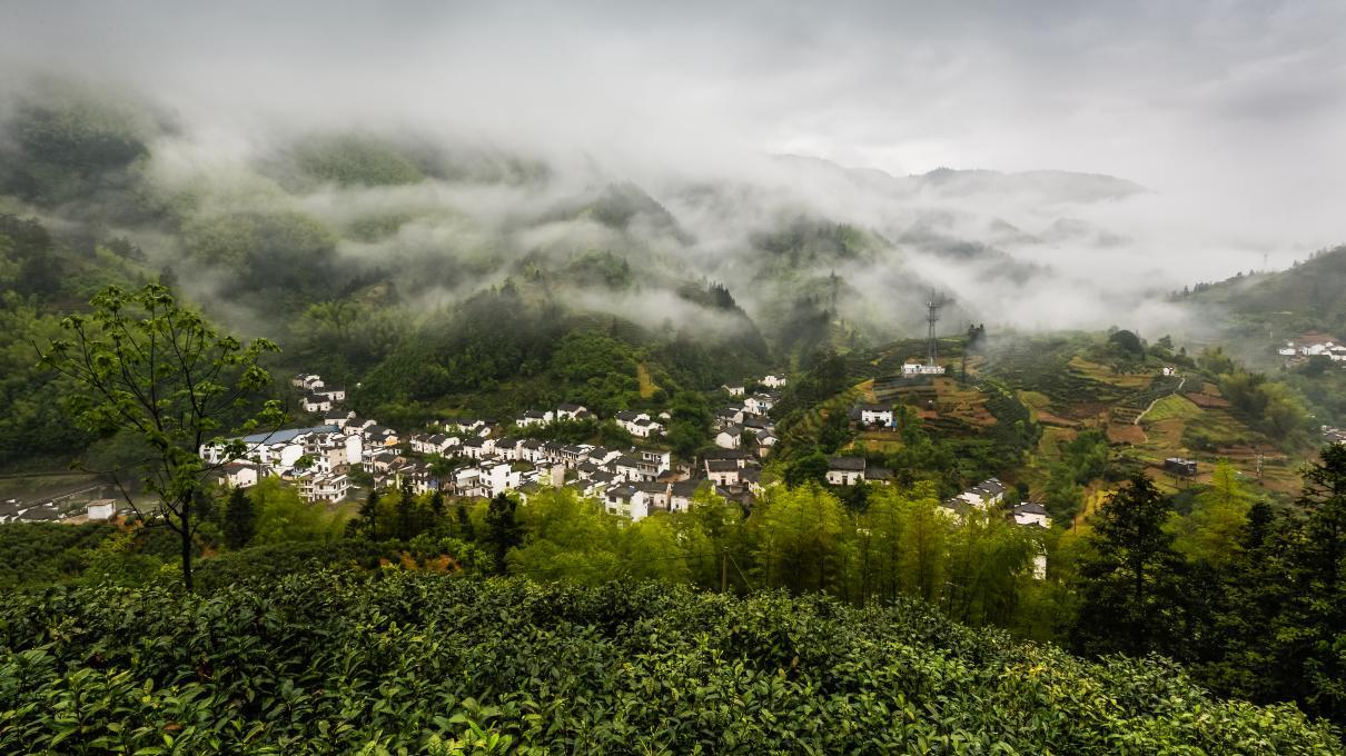 石台天方富硒茶公司（石台富硒茶的功效与作用）-硒宝网