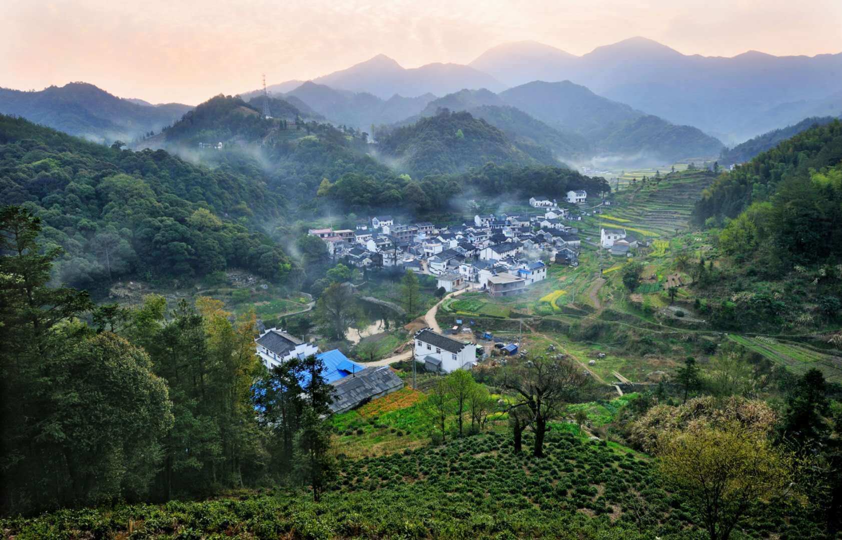 石台天方富硒茶公司（石台富硒茶的功效与作用）-硒宝网