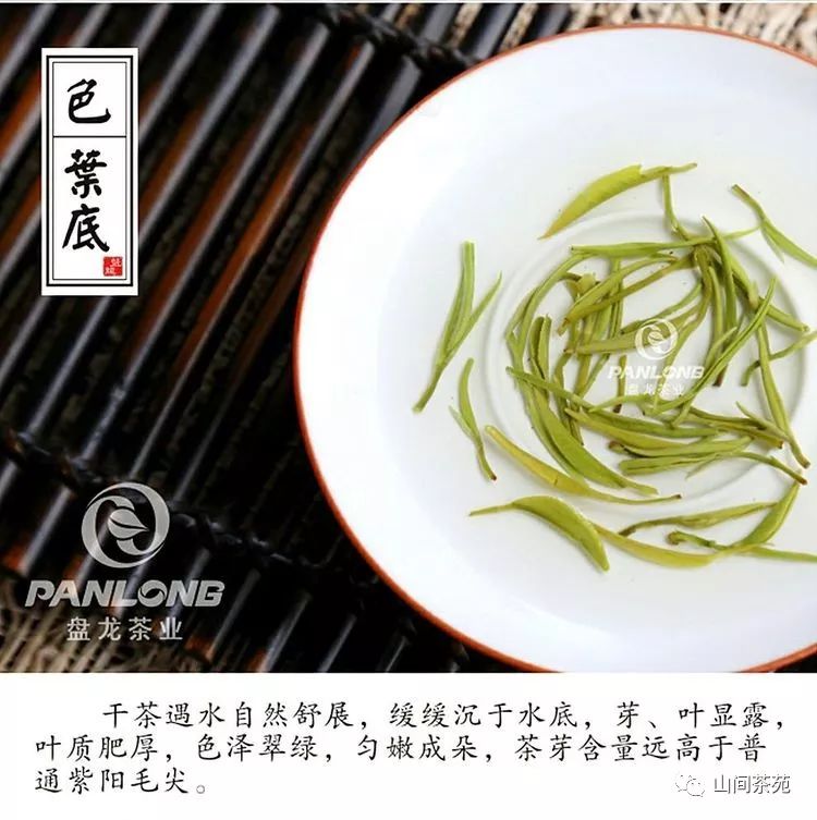 陕西紫阳富硒茶炒青（紫阳富硒茶绿茶）-硒宝网