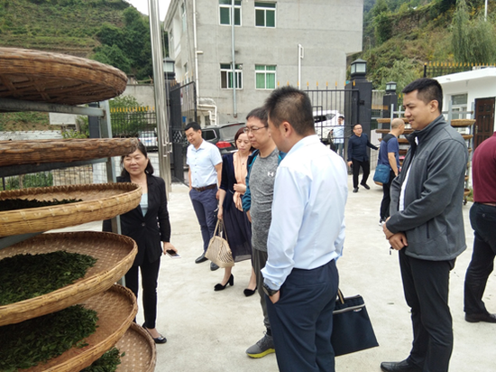 安康富硒茶消费扶贫（安康富硒茶属于什么茶）-硒宝网