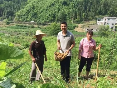 安康富硒茶消费扶贫（安康富硒茶属于什么茶）-硒宝网