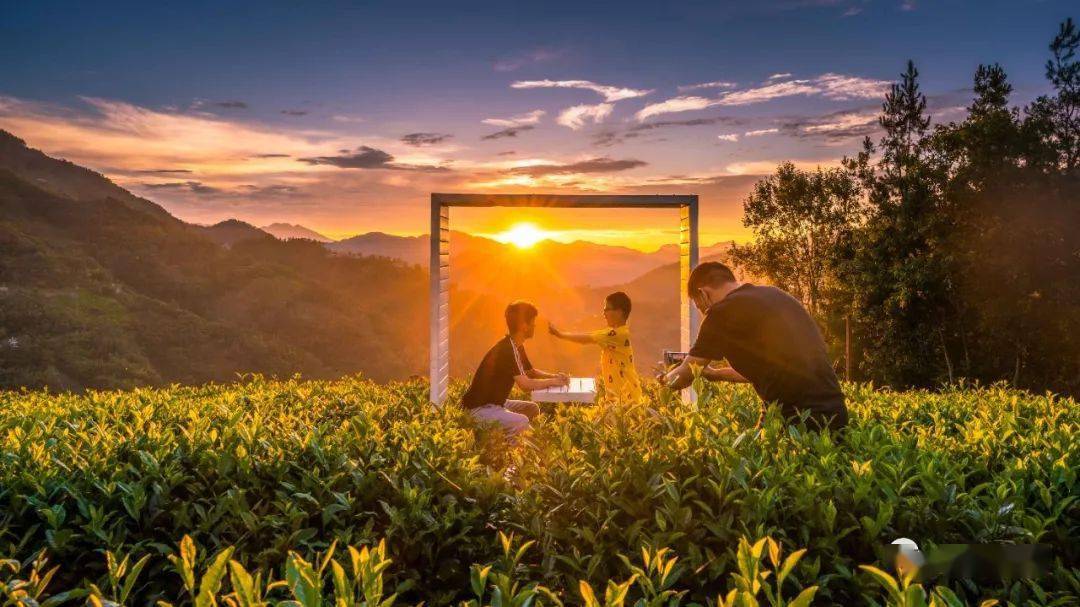 紫阳富硒茶推广方案(推广茶叶)-硒宝网