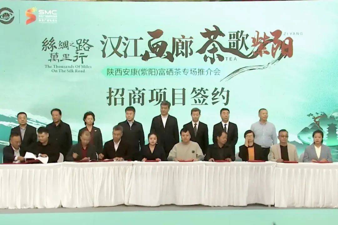 陕西紫阳富硒茶储藏（陕西紫阳富硒茶价格）-硒宝网