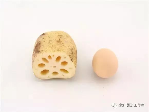 食补锌什么食物最佳(锌食补)-硒宝网