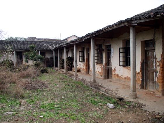 青龙春 富硒茶价格(青龙茶介绍)-硒宝网