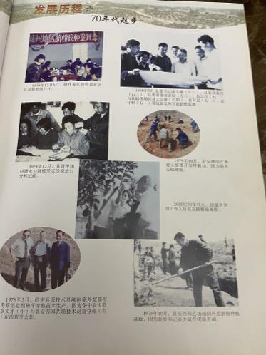 青龙春 富硒茶价格(青龙茶介绍)-硒宝网