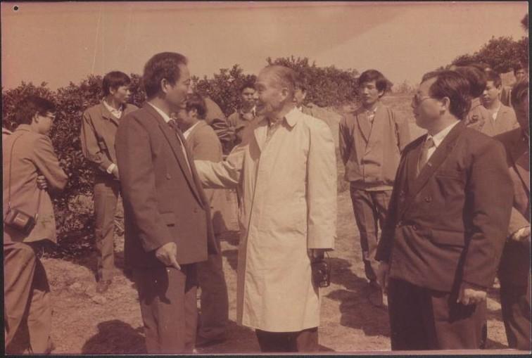 青龙春 富硒茶价格(青龙茶介绍)-硒宝网