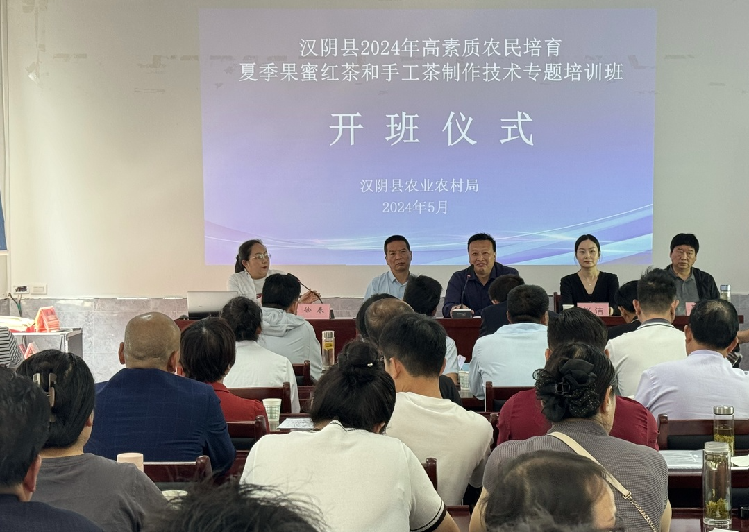 安康岚皋富硒茶红茶(陕西安康红茶)-硒宝网