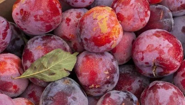 甲状腺结节喝富硒茶（甲状腺结节吃富硒片好吗）-硒宝网