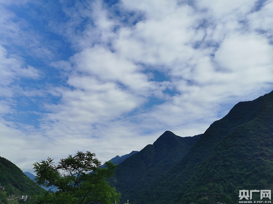 紫阳富硒茶向阳茶厂(紫阳县向阳镇茶园)-硒宝网