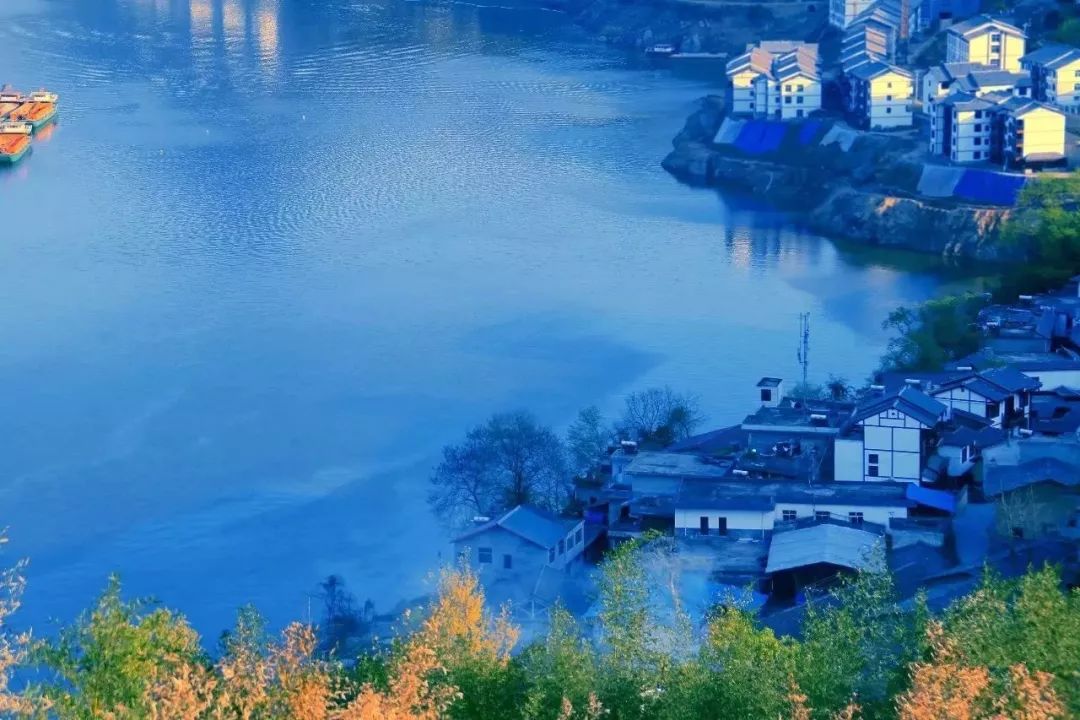 紫阳富硒茶向阳茶厂(紫阳县向阳镇茶园)-硒宝网