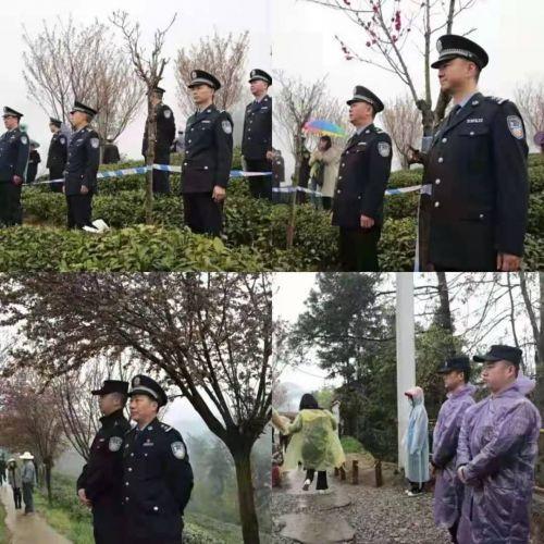 紫阳富硒茶开园活动(紫阳富硒茶场观光园)-硒宝网