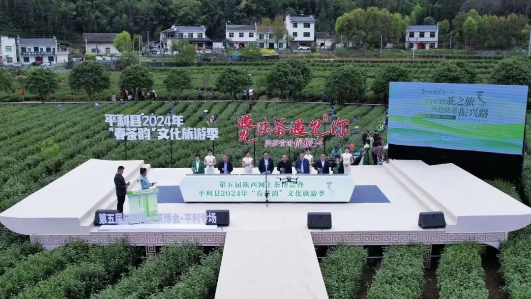 紫阳富硒茶采摘季节(紫阳富硒茶的竞争对手)-硒宝网