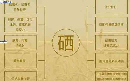 开阳富硒茶购买渠道（开阳富硒茶投资是传销吗）-硒宝网