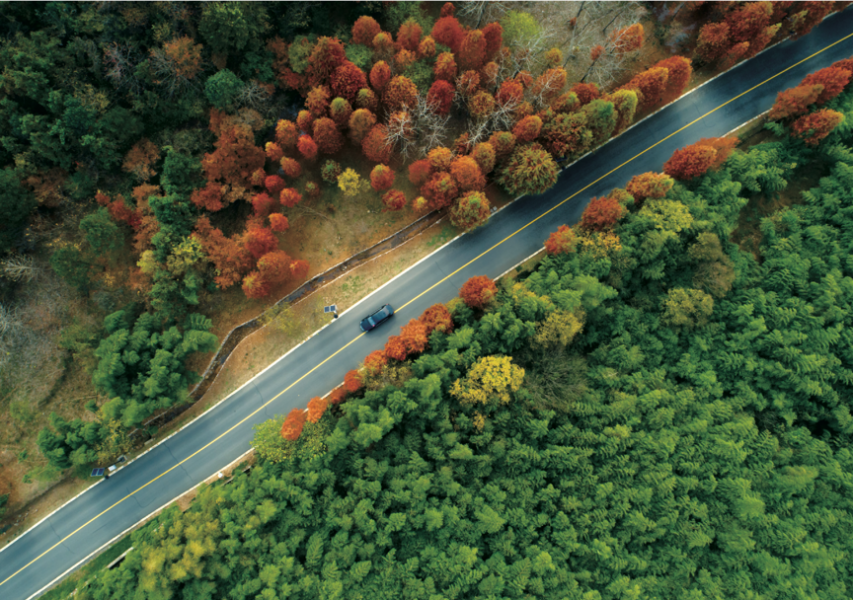 富硒茶真有那么好吗（富硒茶优点）-硒宝网
