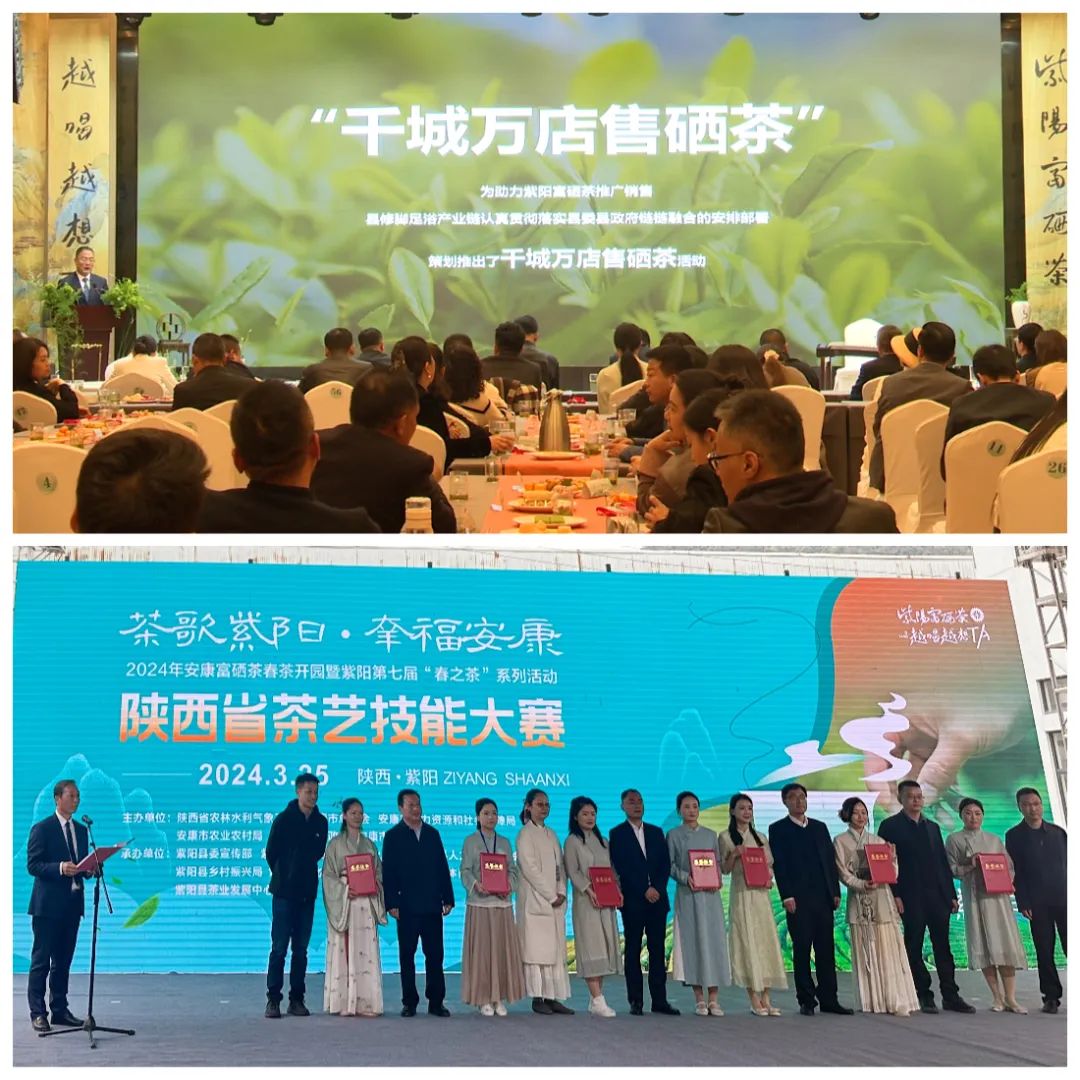 紫阳富硒茶采摘季节（紫阳富硒茶核心产区）-硒宝网