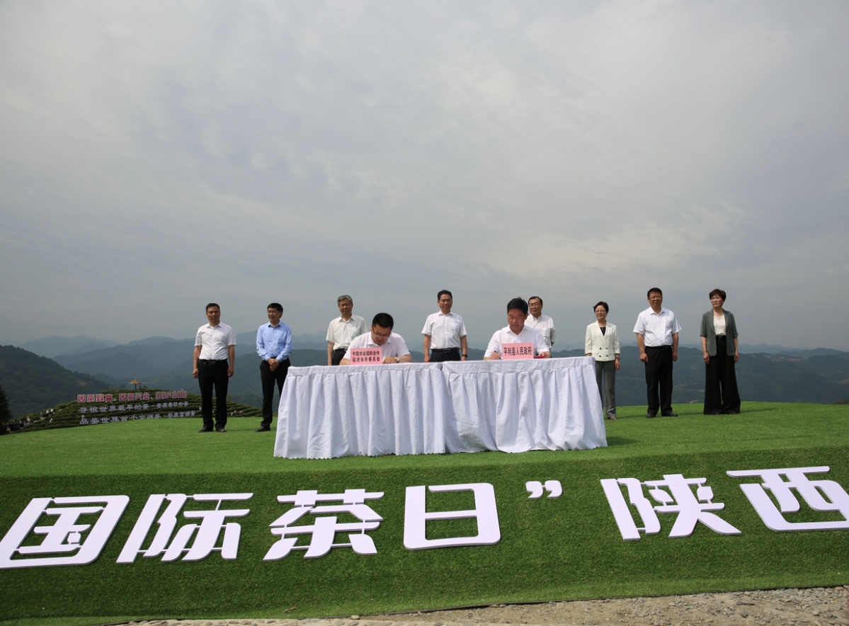 陕西富硒茶开园仪式（陕西安康富硒茶）-硒宝网