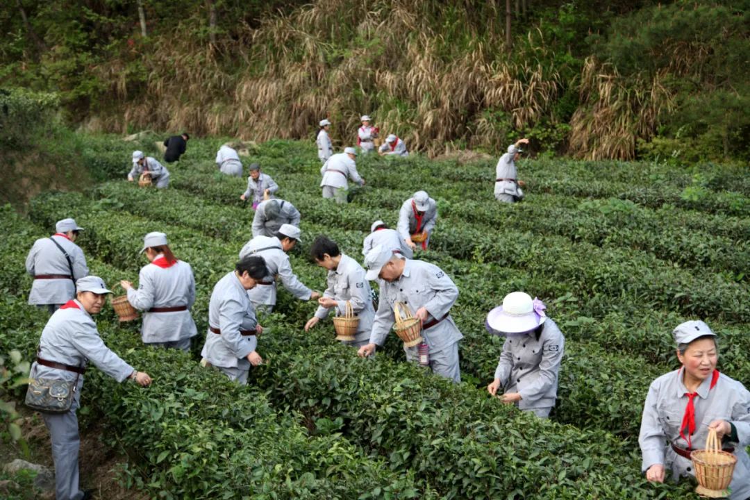 茶道印象恩施富硒茶(印象恩城硒生活)-硒宝网