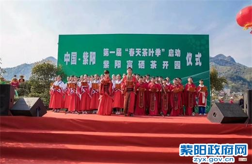 紫阳富硒茶开园活动(紫阳富硒茶文化节)-硒宝网