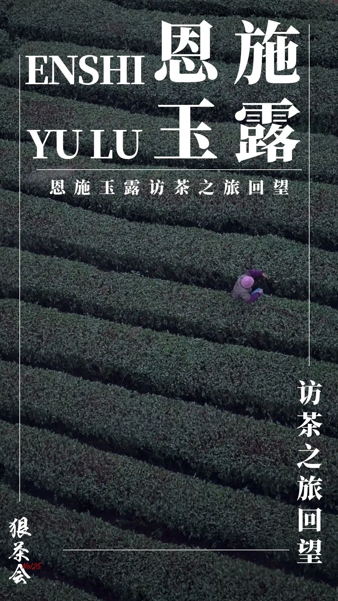 茶道印象恩施富硒茶（茶道印象恩施富硒茶价格）-硒宝网