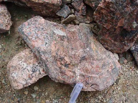 查微量元素需要多少钱（查微量元素需要抽血么）-硒宝网