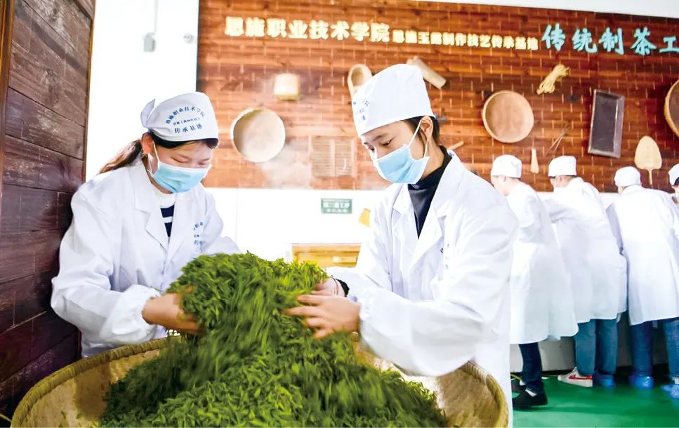 海南恩施富硒茶加工（恩施富硒茶叶多少钱一斤）-硒宝网