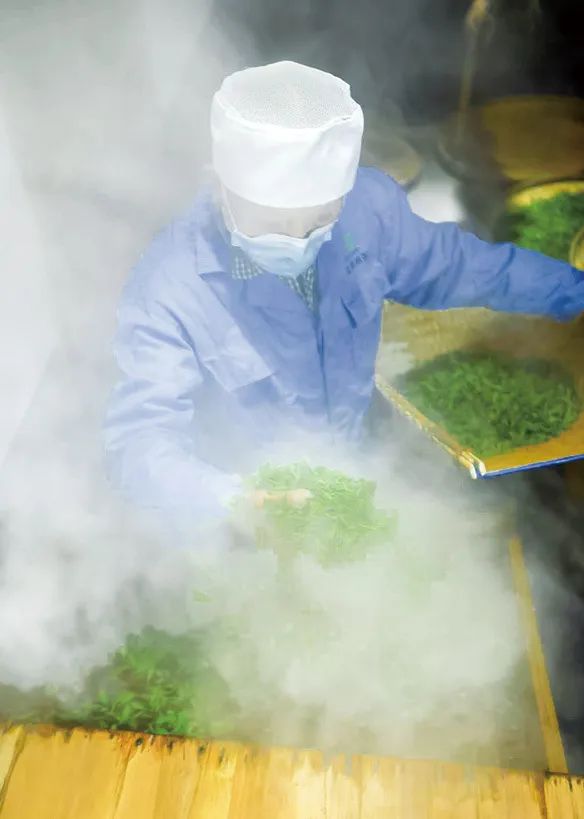 海南恩施富硒茶加工（恩施富硒茶叶多少钱一斤）-硒宝网