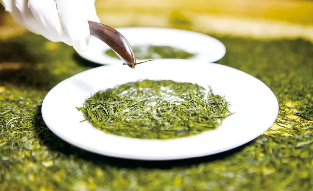 海南恩施富硒茶加工（恩施富硒茶叶多少钱一斤）-硒宝网