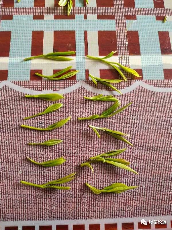 安徽野生富硒茶价格(安徽野生富硒茶价格)-硒宝网