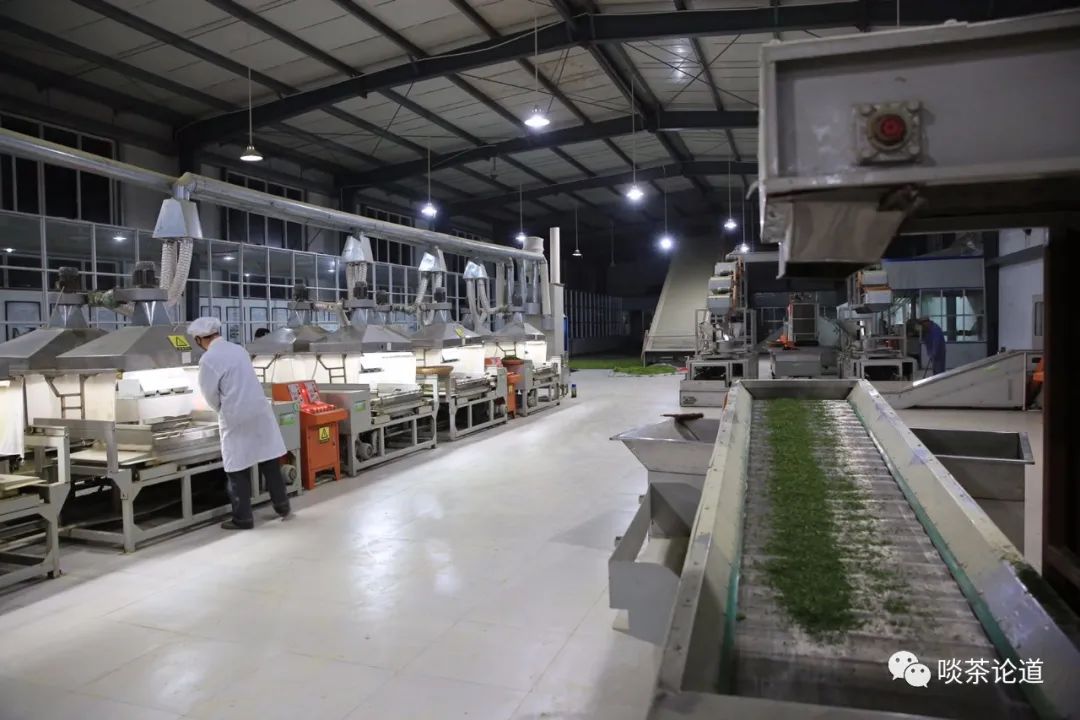 安徽野生富硒茶价格(安徽野生富硒茶价格)-硒宝网