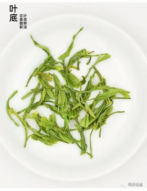 安徽野生富硒茶价格(安徽野生富硒茶价格)-硒宝网