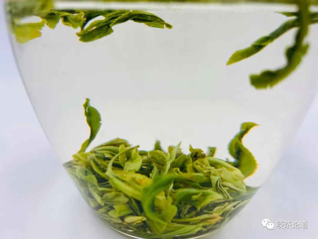 安徽野生富硒茶价格(安徽野生富硒茶价格)-硒宝网