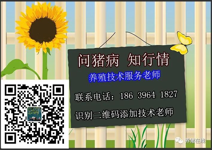 微量元素都有什么(微量元素有哪些)-硒宝网