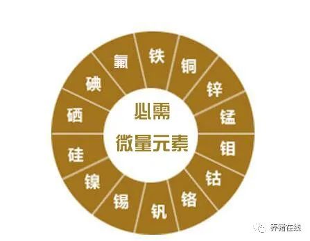 微量元素都有什么(微量元素有哪些)-硒宝网
